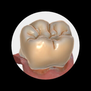 Tooth